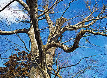 育碧多人竞速游戏《赛道狂飙》将和手游《饥饿鲨》展开联动